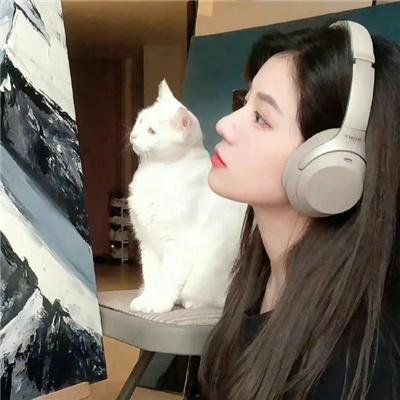 遇见波莉