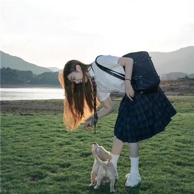 卫星女孩和奶牛